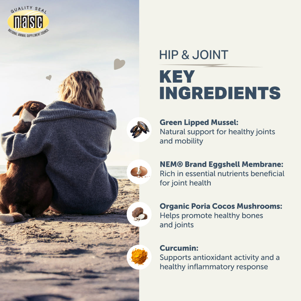 Four Leaf Rover Hip & Joint Eggshell Membrane Supplement — Natural Joint Support for Dogs (83g / 166g)