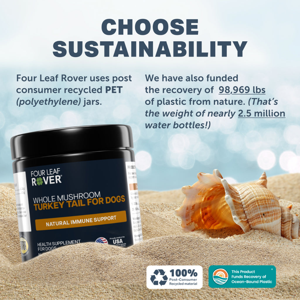 Four Leaf Rover Turkey Tail Mushroom — Organic Immune Support for Dogs (28.5g)