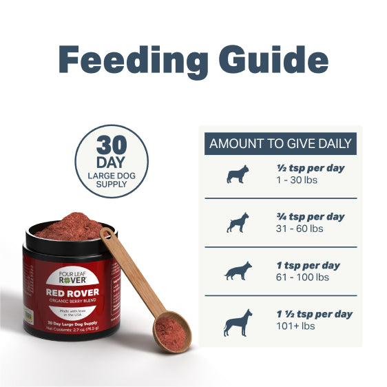 Four Leaf Rover Red Rover — Organic Berry Blend for Dogs (76.5g)