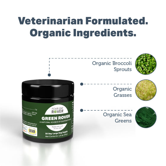 Four Leaf Rover Green Rover — Organic Sulforaphane Supplement (39g)