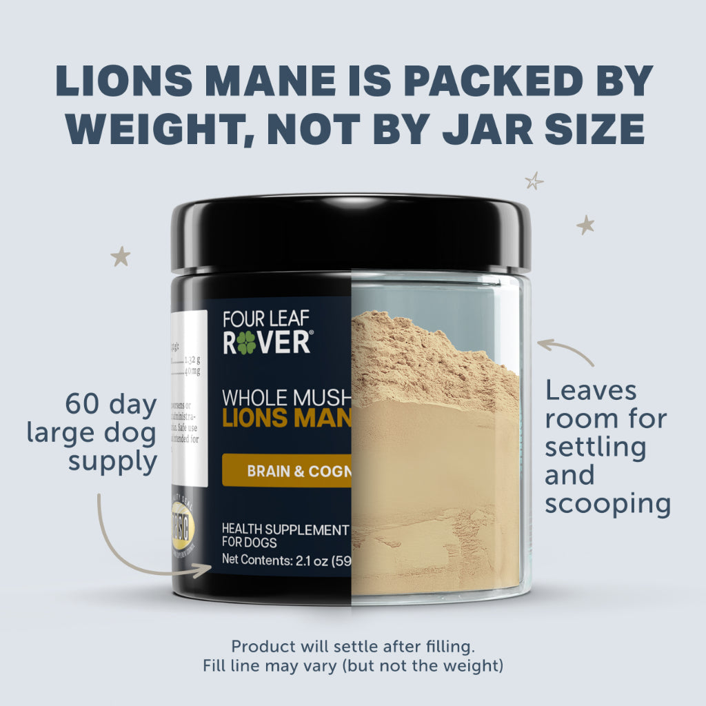 Four Leaf Rover Lion's Mane — Organic Mushroom Extract for Dogs (28.5g)