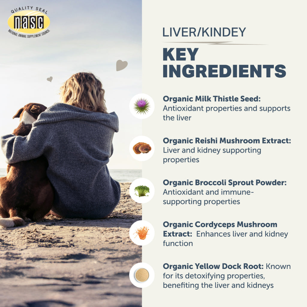 Four Leaf Rover Liver/Kidney Clean — Organic Mushroom Detox Powder (37.2g)
