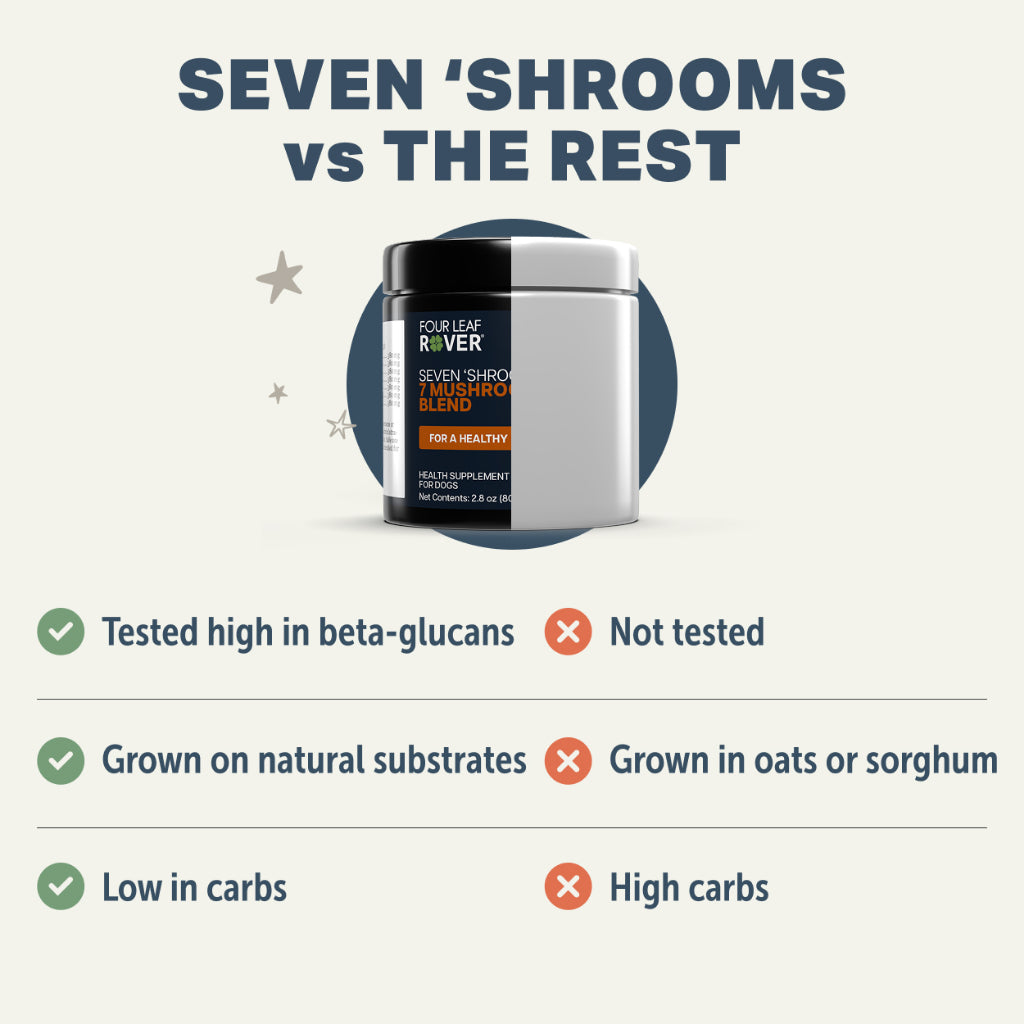 Four Leaf Rover Seven Shrooms Immunity — Organic Mushroom Mix (51g)