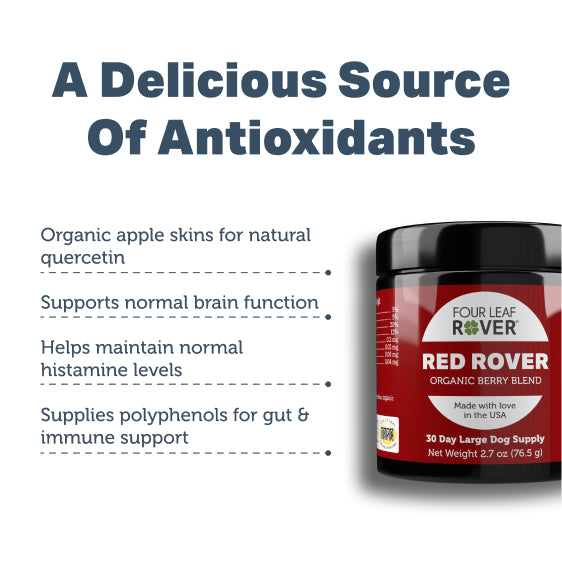 Four Leaf Rover Red Rover — Organic Berry Blend for Dogs (76.5g)