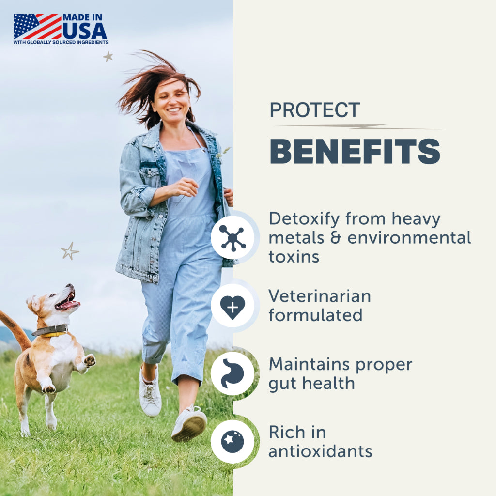 Four Leaf Rover Protect — Soil Based Probiotics for Dogs (92.1g / 184.2g)