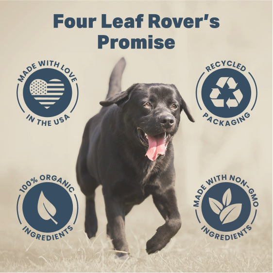 Four Leaf Rover Red Rover — Organic Berry Blend for Dogs (76.5g)