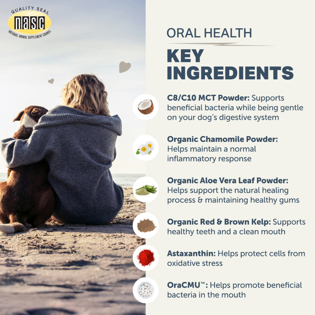 Four Leaf Rover Oral Health — Dog Dental Powder for Fresh Breath & Gum Care