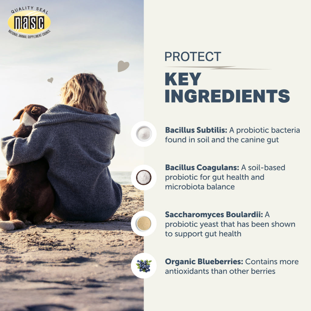 Four Leaf Rover Protect — Soil Based Probiotics for Dogs (92.1g / 184.2g)