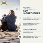 Four Leaf Rover Protect — Soil Based Probiotics for Dogs (92.1g / 184.2g)