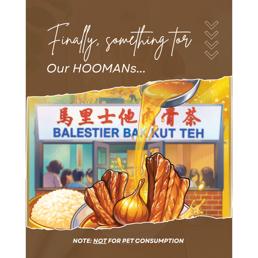 Balestier Bak Kut Teh Pork Ribs Soup Spices for Pet Owners — Peppery (30g)
