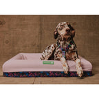 Zee.Dog Bed Cover — Hypoallergenic Microfiber with Double Zipper (Small & Large)