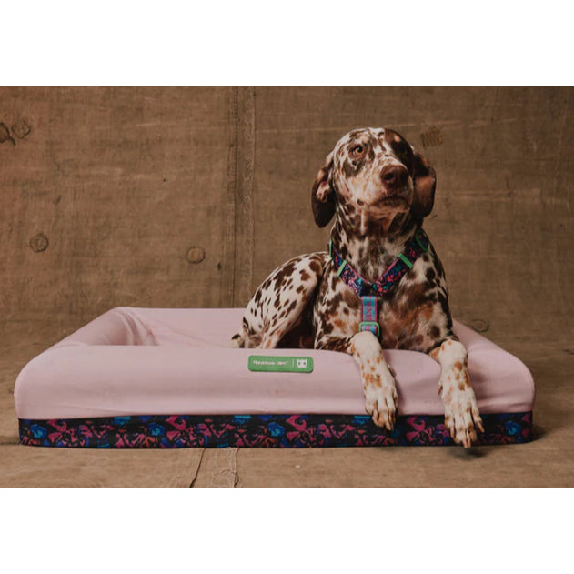 Zee.Dog Bed Cover — Hypoallergenic Microfiber with Double Zipper (Small & Large)