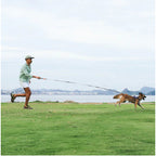 Zee.dog Long Leash 2.0 — Adjustable 3m/10ft for Dogs