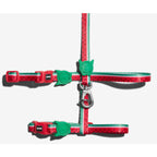 Zee.Dog FARM Rio Cat Harness & Leash Set — Limited Edition Adjustable Design