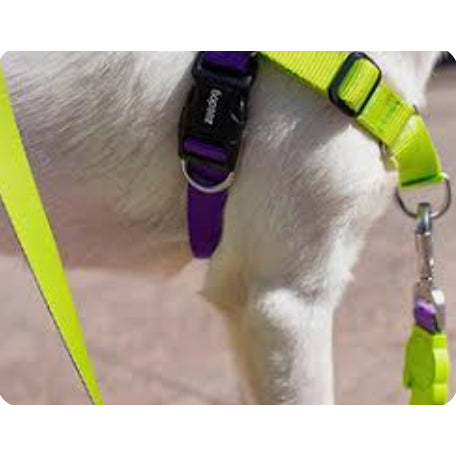 Zee.Dog Dog Leash — Super Hook with Screw Lock (Sizes XS, S, L)