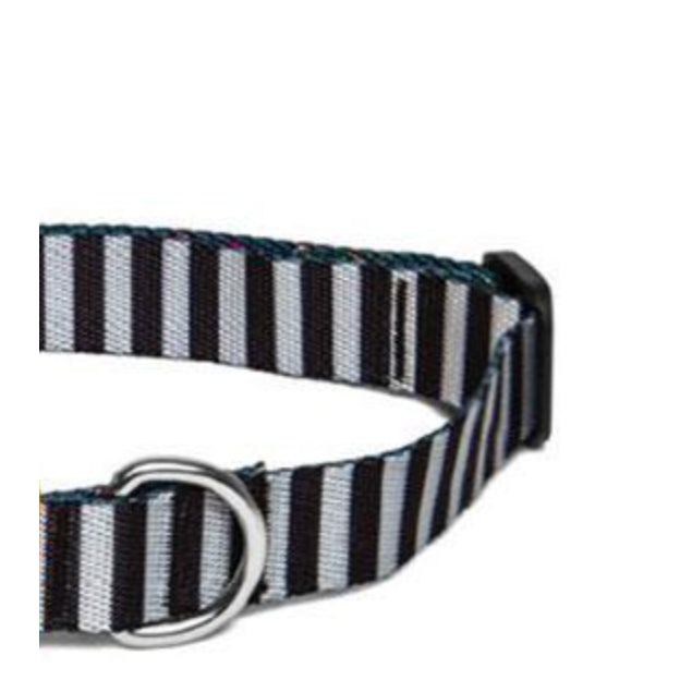 Zee.Dog Keychain for Pet Owners — Durable Polyester Strap (Assorted Colours)