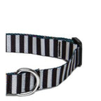 Zee.Dog Keychain for Pet Owners — Durable Polyester Strap (Assorted Colours)