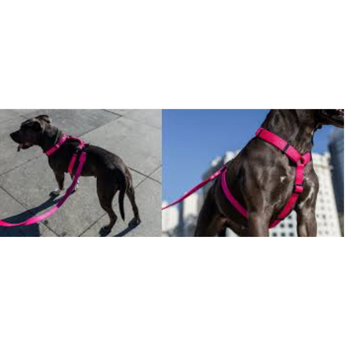Zee.Dog H-Harness — Adjustable Dog Harness for Puppies & Adults (XS-L)