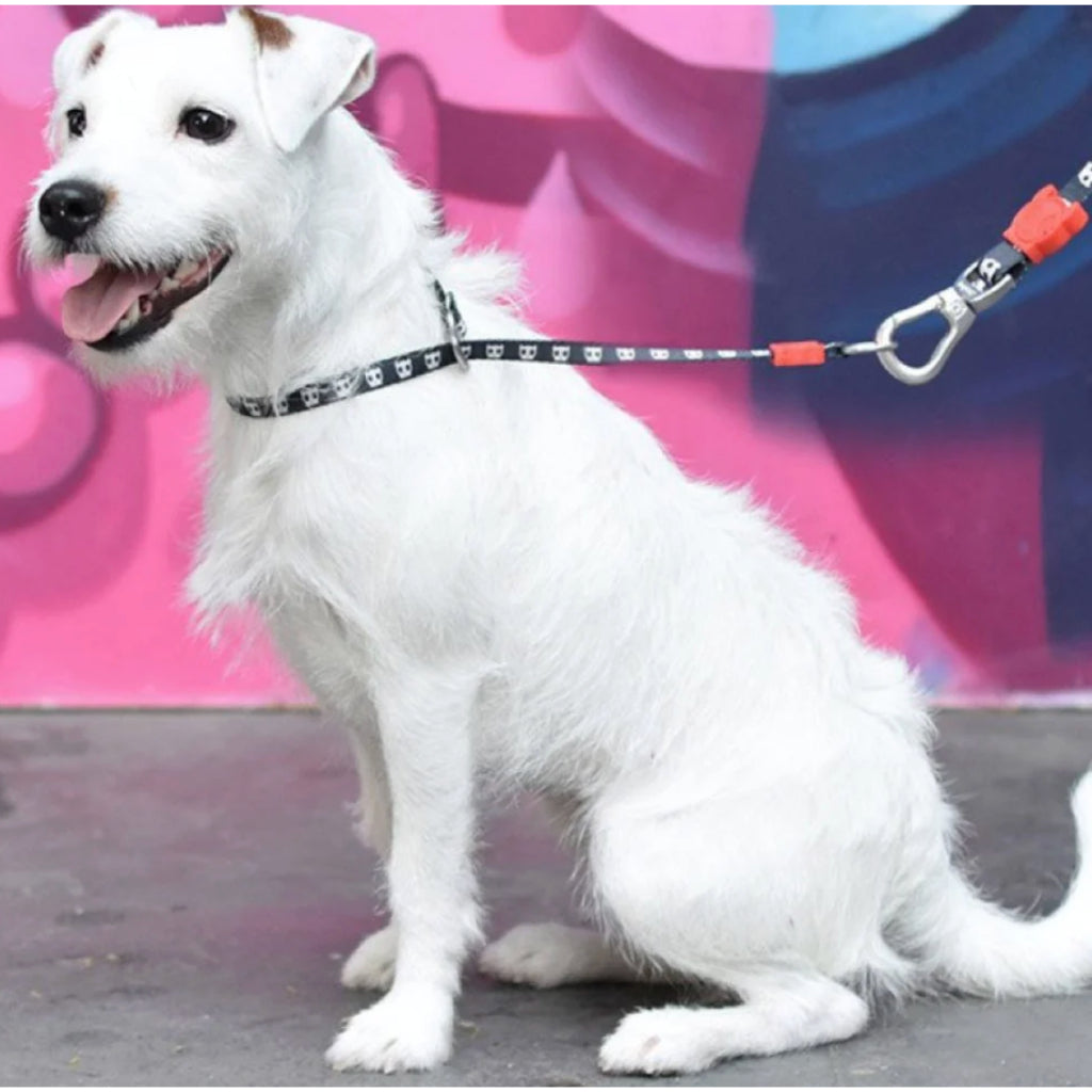 Zee.Dog Obedience Collar — Ultra-Comfortable Polyester for Walking Control