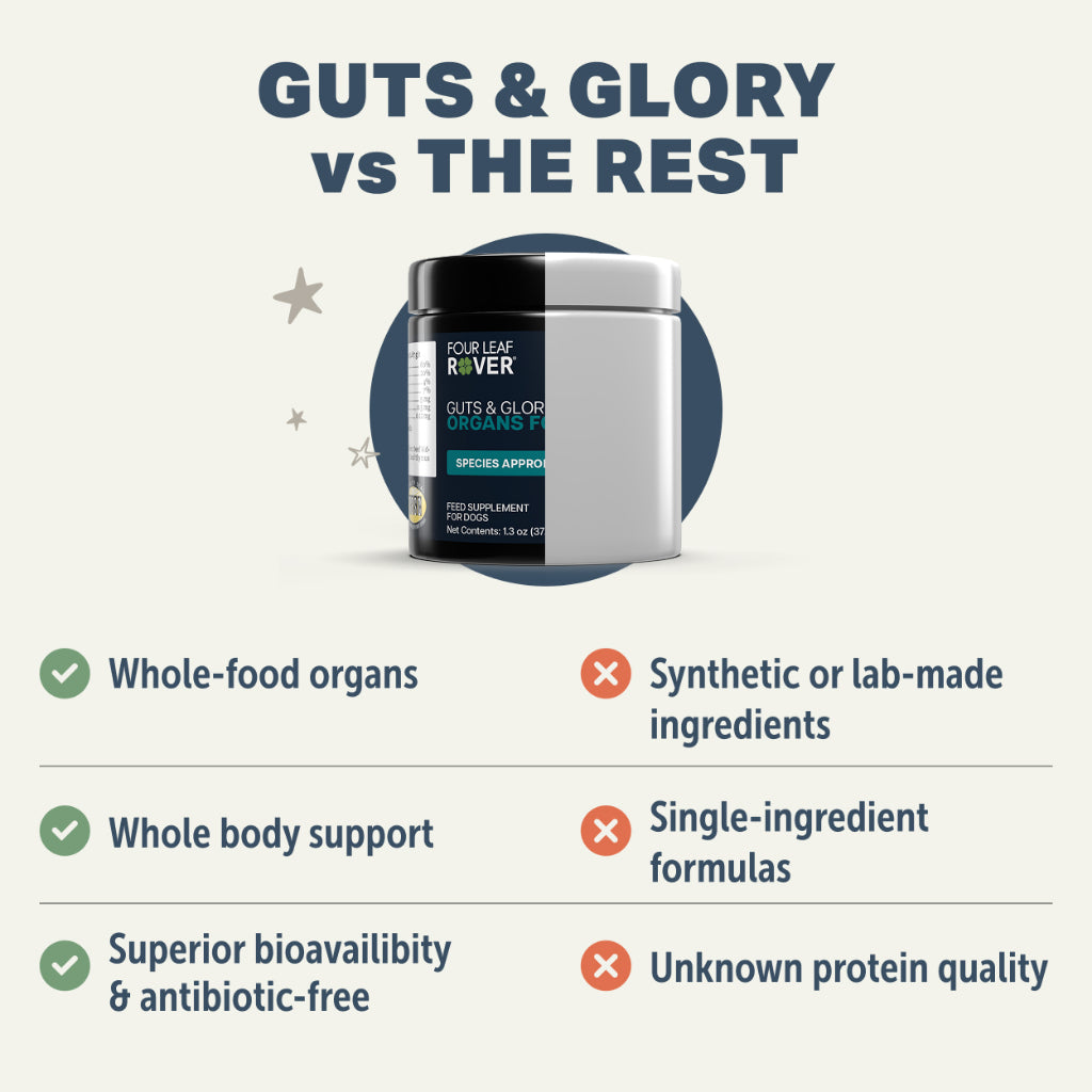 Four Leaf Rover Guts & Glory — Grass-Fed Bovine Organ Supplement for Dogs (42g)