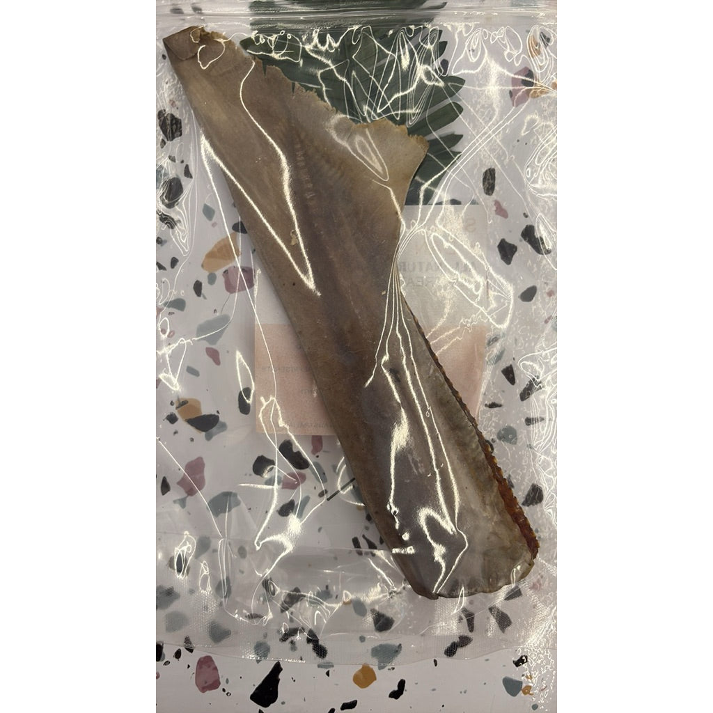Scott & Dan's Air-Dried Shark Cartilage Tail — Single-Ingredient Dog Treat