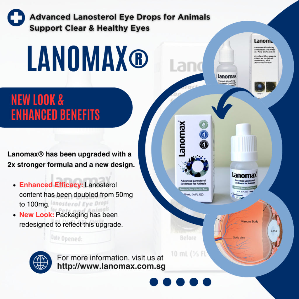 Lanomax® Lanosterol Eye Drops — 2x Formula for Cataracts (10ml)