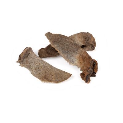 Scott & Dan's Kangaroo Ears — Natural Air-Dried Dog Treats (3/5 Pc)