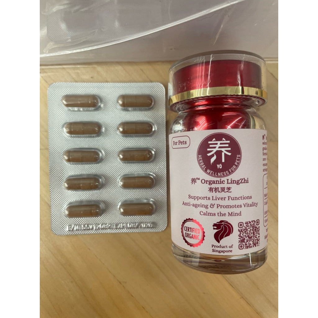 Yo Organic Lingzhi for Pets — Anti-Aging & Liver Support (30 Vegetarian Capsules)