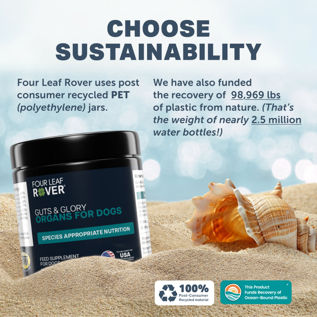 Four Leaf Rover Guts & Glory — Grass-Fed Bovine Organ Supplement for Dogs (42g)