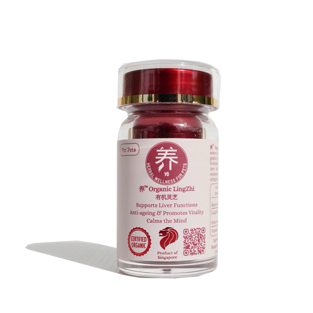Yo Organic Lingzhi for Pets — Anti-Aging & Liver Support (30 Vegetarian Capsules)
