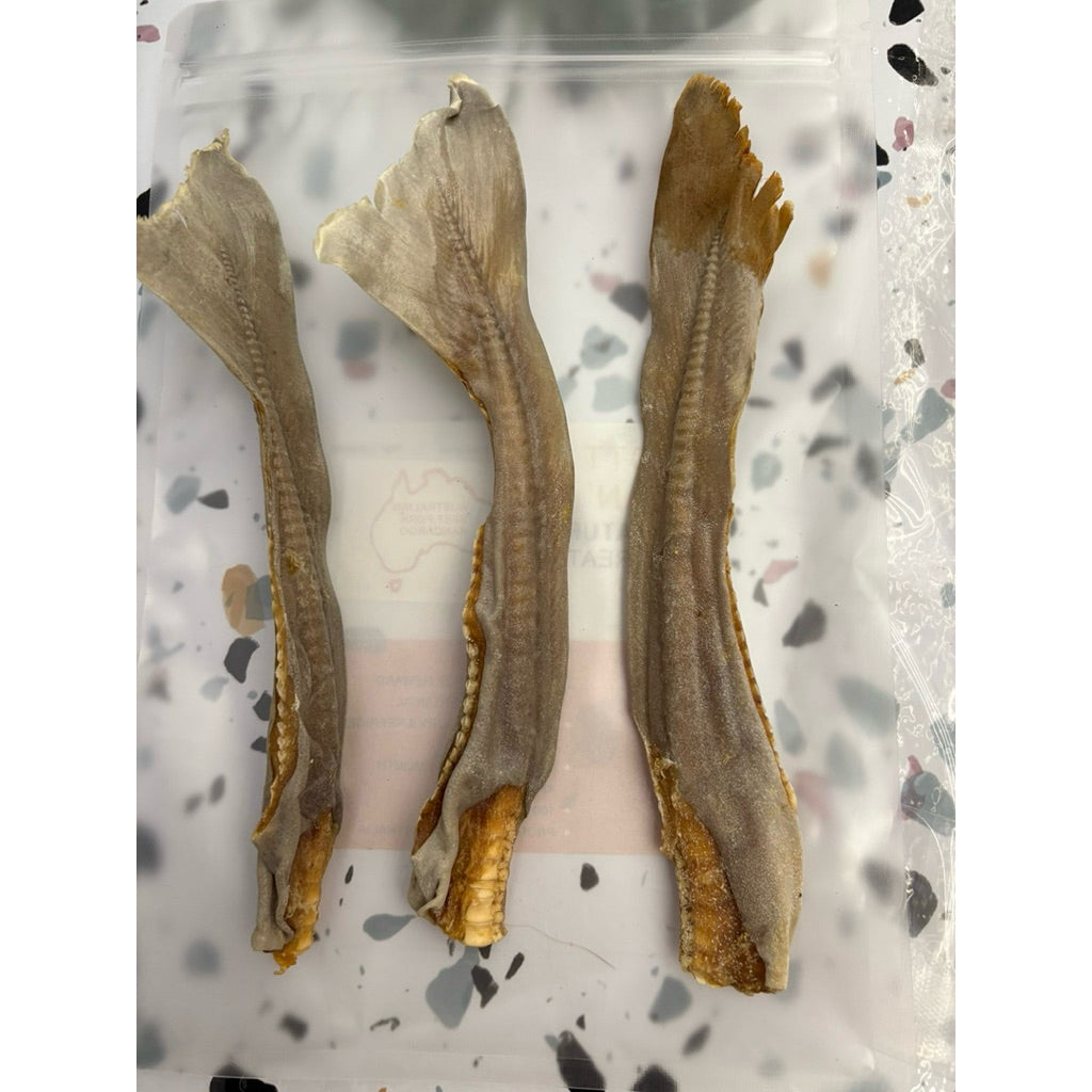 Scott & Dan's Air-Dried Shark Cartilage Tail — Single-Ingredient Dog Treat