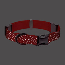 Load image into Gallery viewer, (Pre-Order Only) Ruffwear Confluence™ Reflective Waterproof Dog Collar (3 Colours/2 Sizes)
