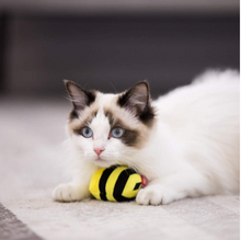 Load image into Gallery viewer, GiGwi Catnip Series: Interactive Electric Simulation Bee and Thrist Catnip Catepillar for cats

