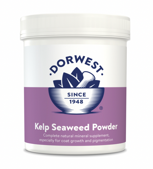 Dorwest: Kelp Seaweed Powder For Dogs And Cats