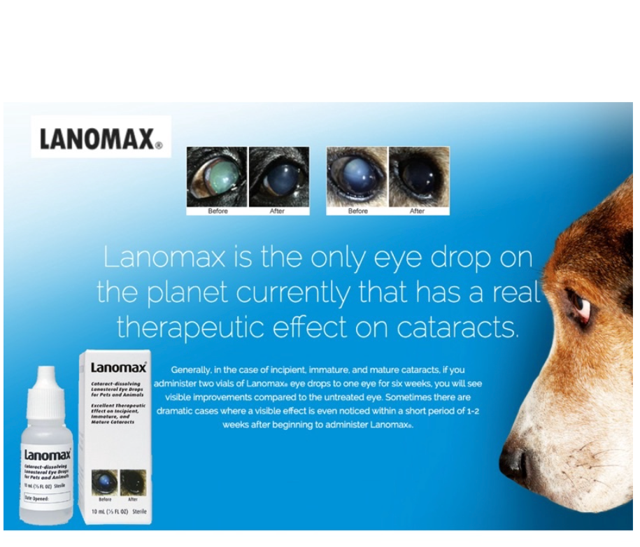 [Vets Recommend!] Lanomax 10ml: Cataract Dissolving Lanosteral Eye Drops for Pets and Animals