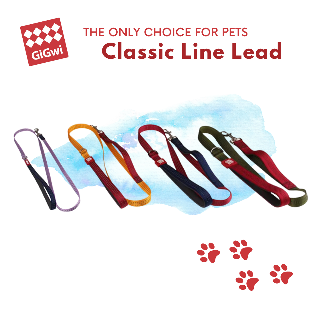 GiGwi Classic Lead: Leashes for Pets