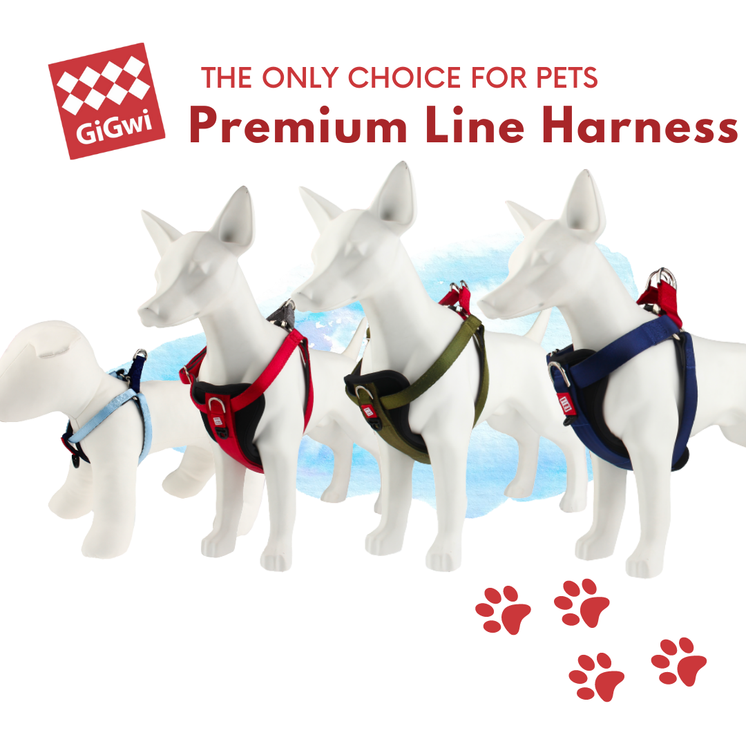 GiGwi Premium Line Harness: Harnesses for Pets