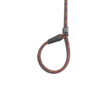 Load image into Gallery viewer, Zee.Dog Slip-On Rope Leash (4 colours)
