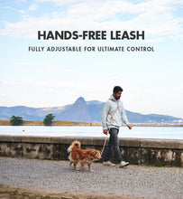 Load image into Gallery viewer, Zee.Dog Hands Free Leash (8 Colours)
